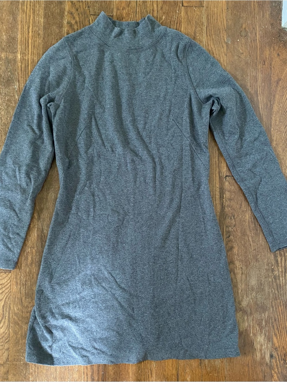 Everlane Charcoal Gray Long-Sleeve Mini Seam Dress